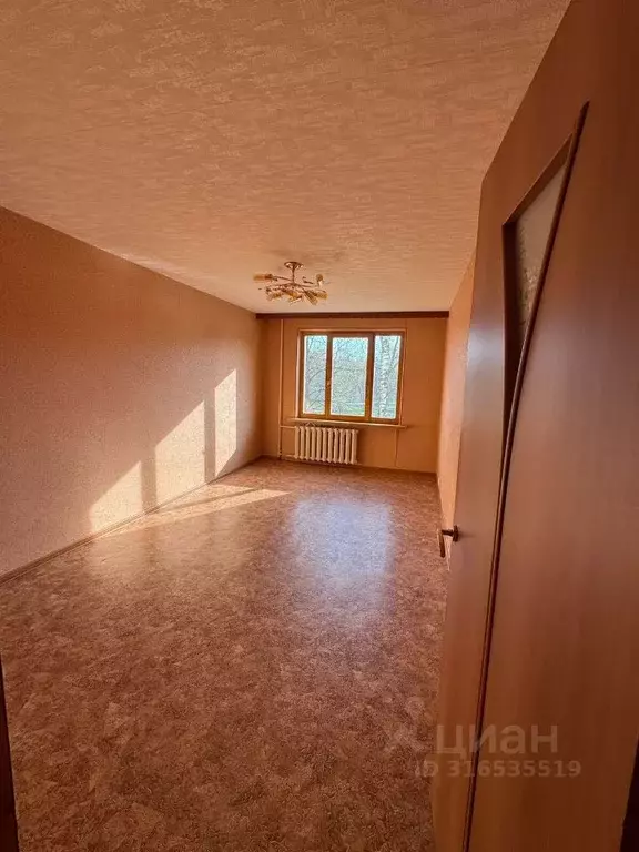 2-к кв. Владимирская область, Радужный 1-й кв-л, 11 (46.5 м) - Фото 0