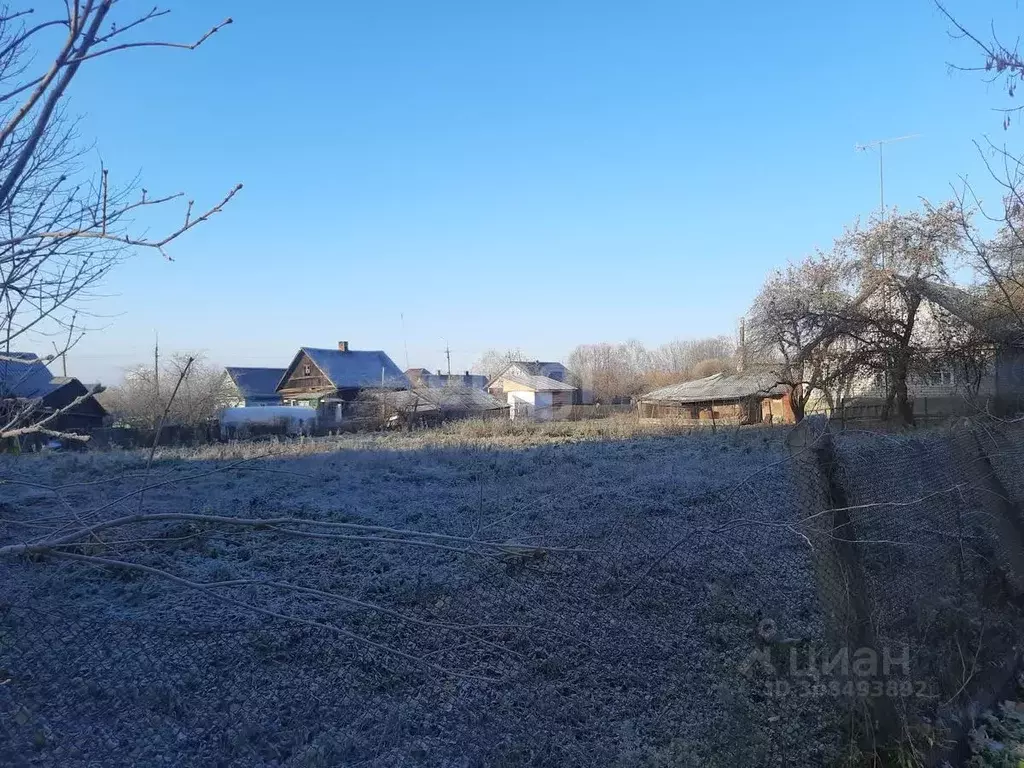 Участок в Псковская область, Остров ул. Освобождения (12.5 сот.) - Фото 1