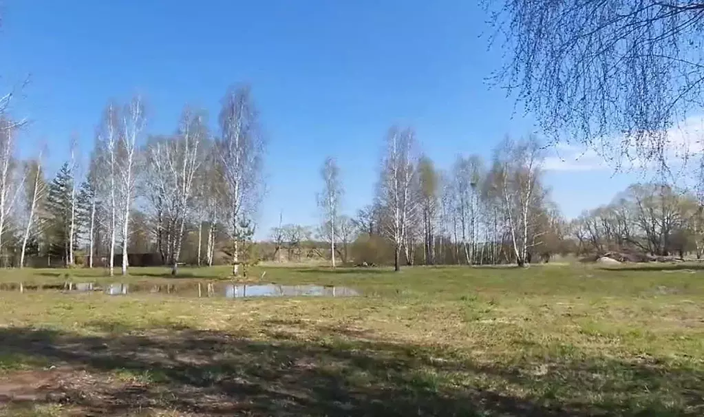 Участок в Московская область, Раменский муниципальный округ, с. ... - Фото 1