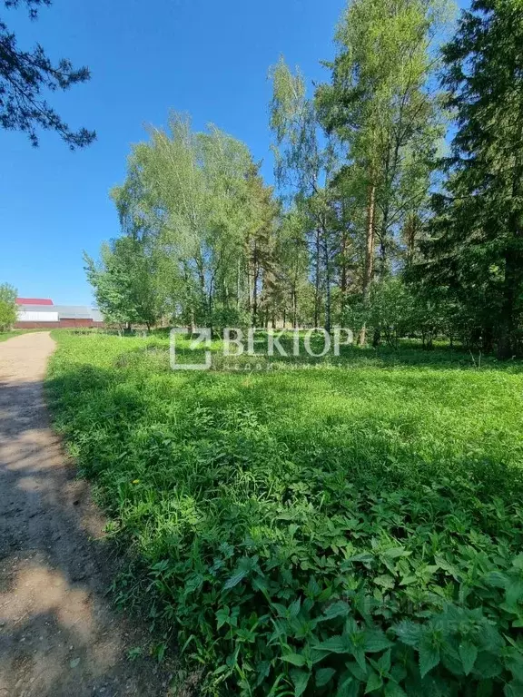 Участок в Ивановская область, Иваново пер. Крылова (7.6 сот.) - Фото 1