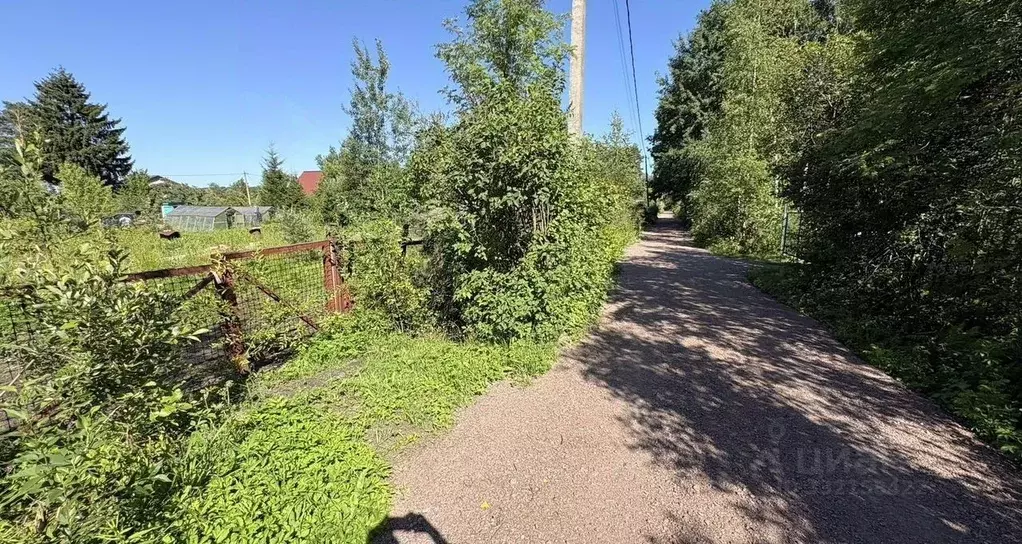 Участок в Ленинградская область, Кировский район, Синявинское ... - Фото 2