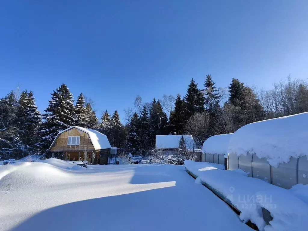 Участок в Ленинградская область, Волосовский район, Клопицкое с/пос, ... - Фото 2
