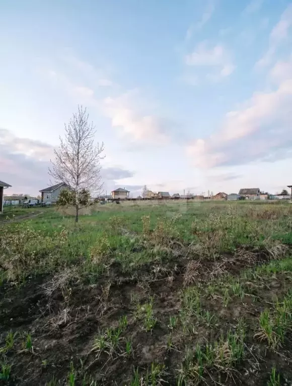 Участок в Тульская область, Щекинский район, Первомайский городское ... - Фото 2
