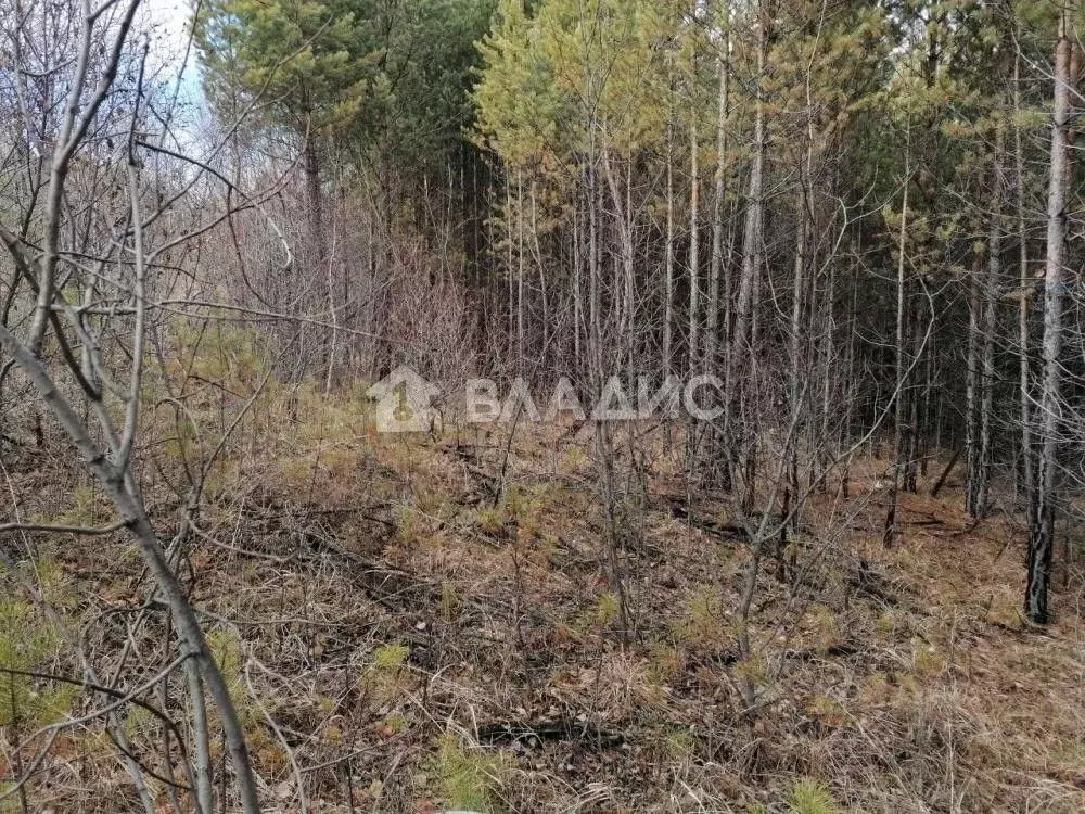 Участок в Иркутская область, Иркутск Славный мкр, ул. Заветная (15.0 ... - Фото 0