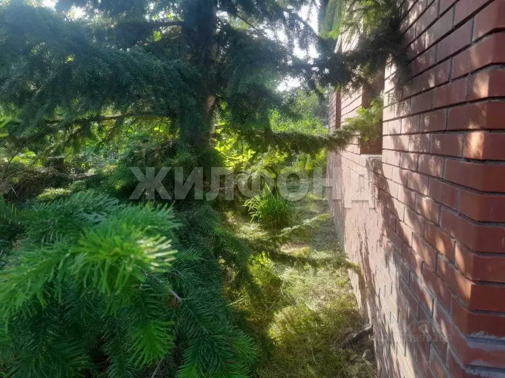 Дом в Новосибирская область, Новосибирск Садоводческого товарищества ... - Фото 1