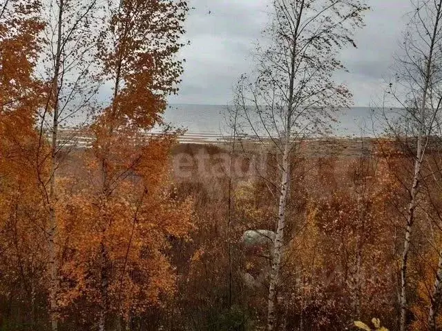 Участок в Псковская область, Печорский муниципальный округ, д. ... - Фото 2