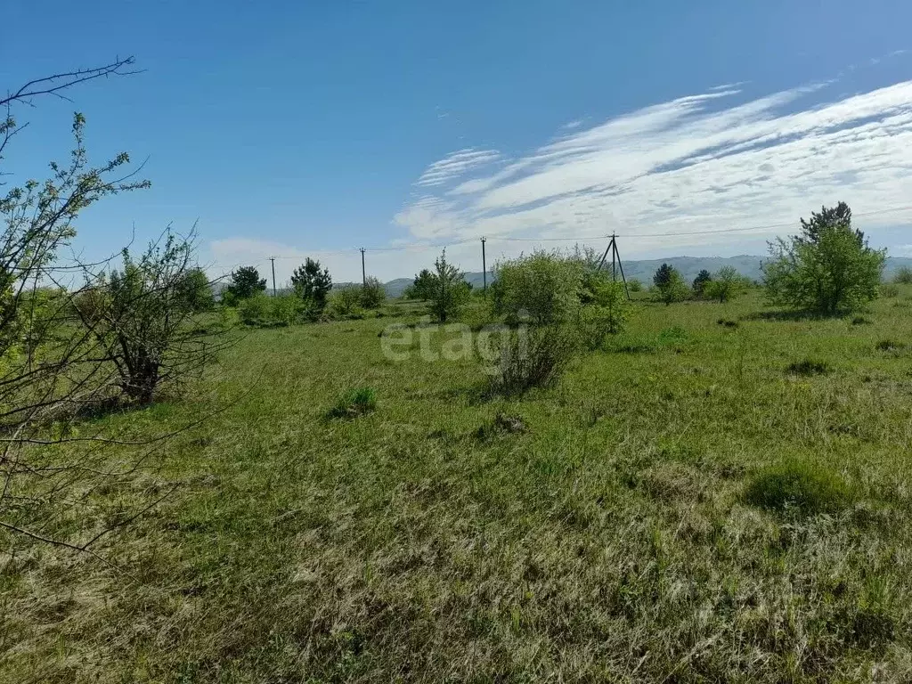 Участок в Алтай, Майминский район, с. Подгорное  (10.0 сот.) - Фото 0