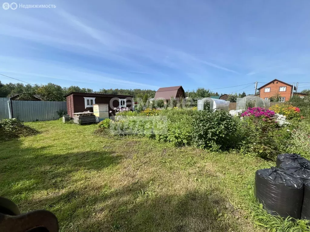 Участок в Владимирская область, Александровский муниципальный округ, ... - Фото 2
