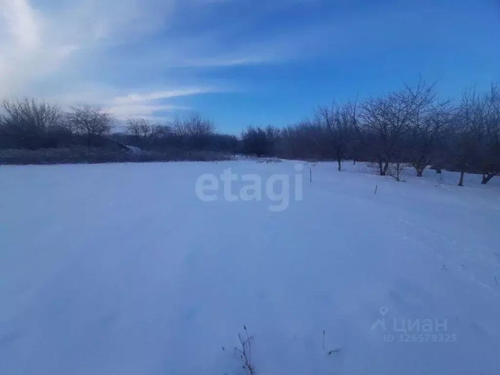 Участок в Белгородская область, Валуйки ул. Максима Горького, 95/1 ... - Фото 2