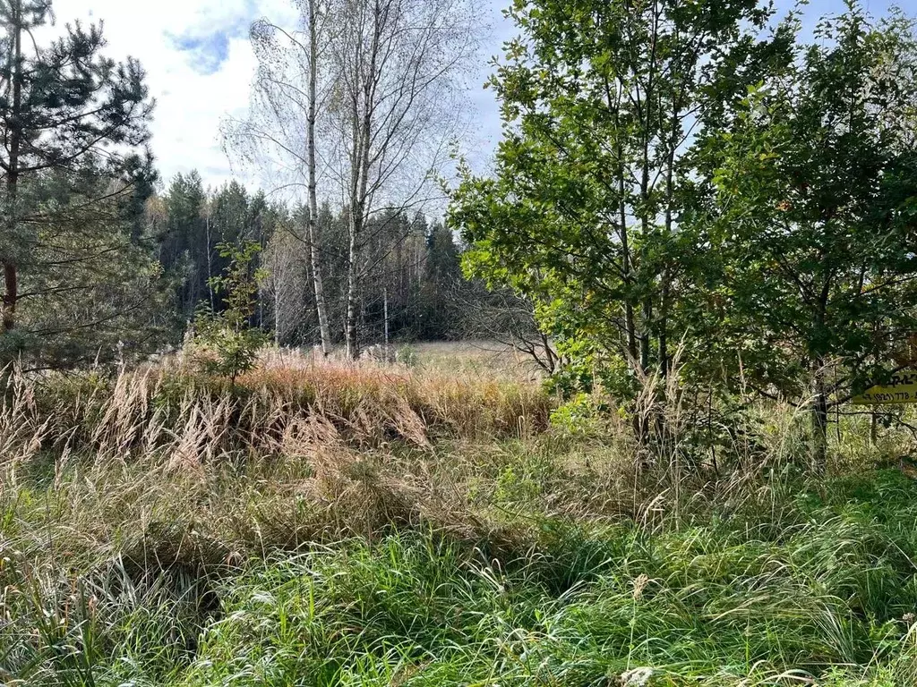 Участок в Ленинградская область, Кингисеппский район, Куземкинское ... - Фото 0