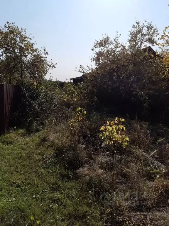 Участок в Нижегородская область, Володарский муниципальный округ, с. ... - Фото 0