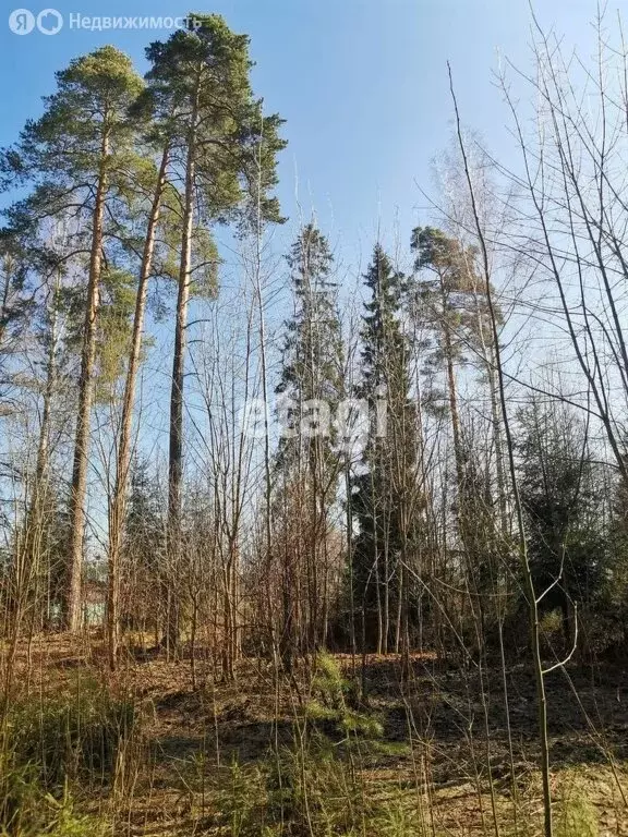 Участок в Гатчинский район, городской посёлок Сиверский (13.4 м) - Фото 0