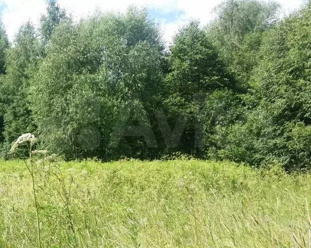 Участок 12,1 сот. (ИЖС) - Фото 1