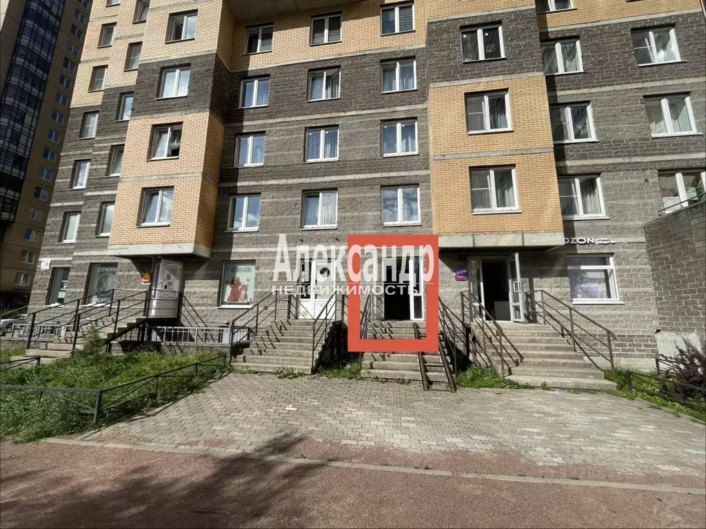 Торговая площадь в Санкт-Петербург пос. Парголово, ул. Федора ... - Фото 1
