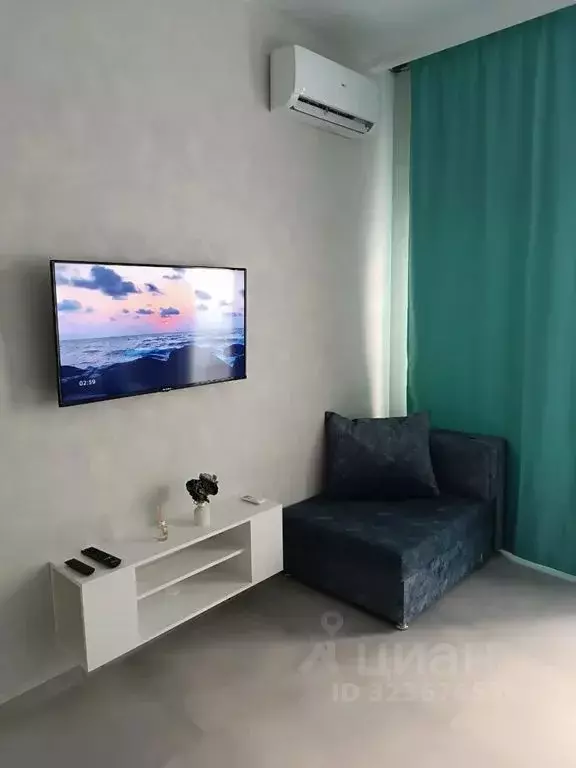 Студия Краснодарский край, Сочи ул. Ленина, 290/7к5 (20.0 м) - Фото 2