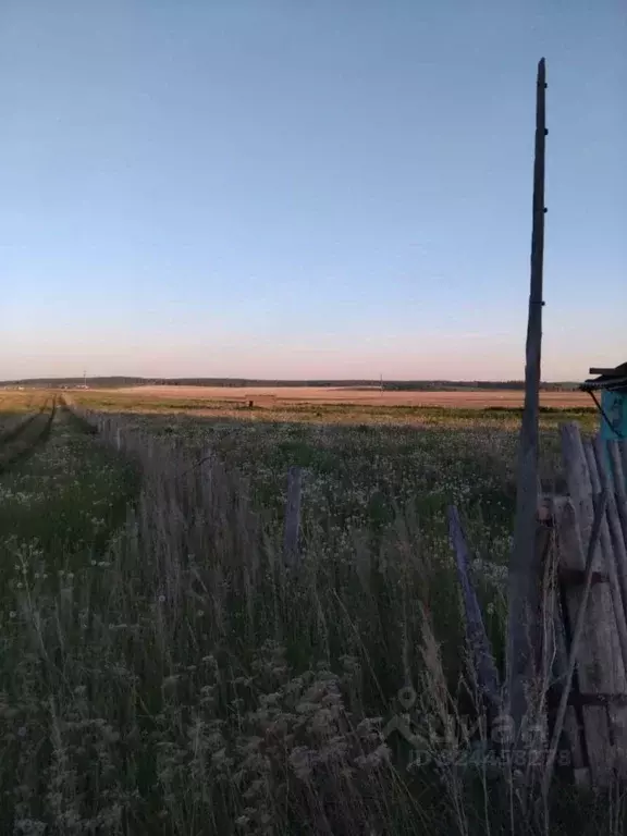 Участок в Челябинская область, Чебаркульский муниципальный округ, с. ... - Фото 1