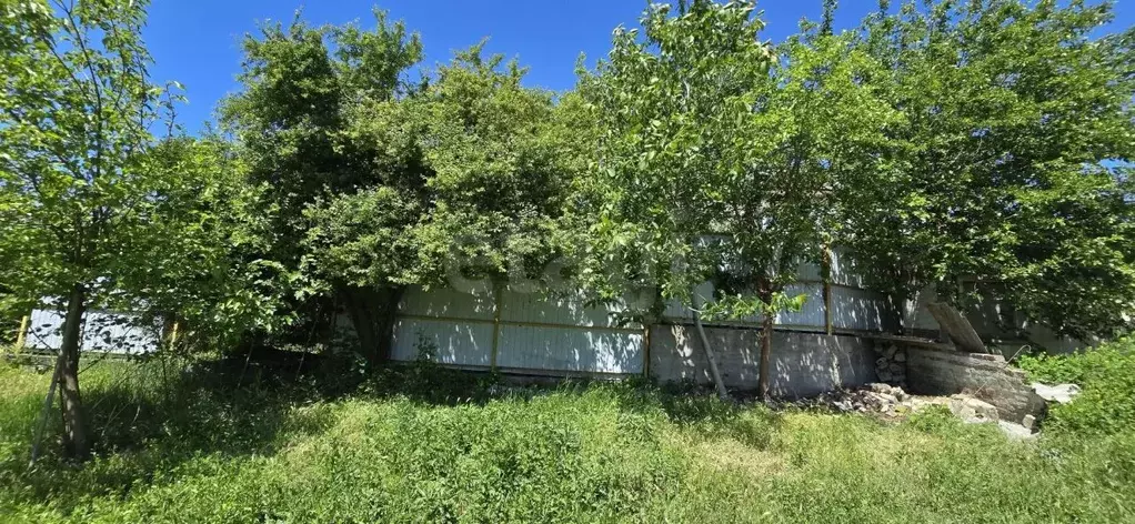 Участок в Краснодарский край, Новороссийск городской округ, ... - Фото 2