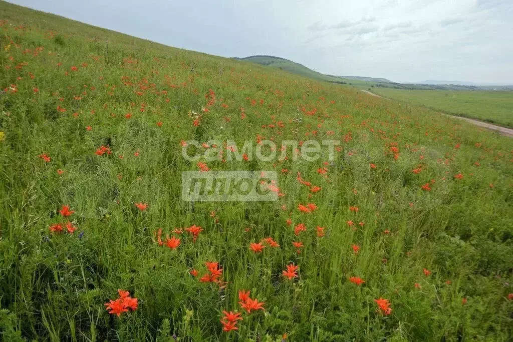 Участок 10,1 сот. (ИЖС) - Фото 0