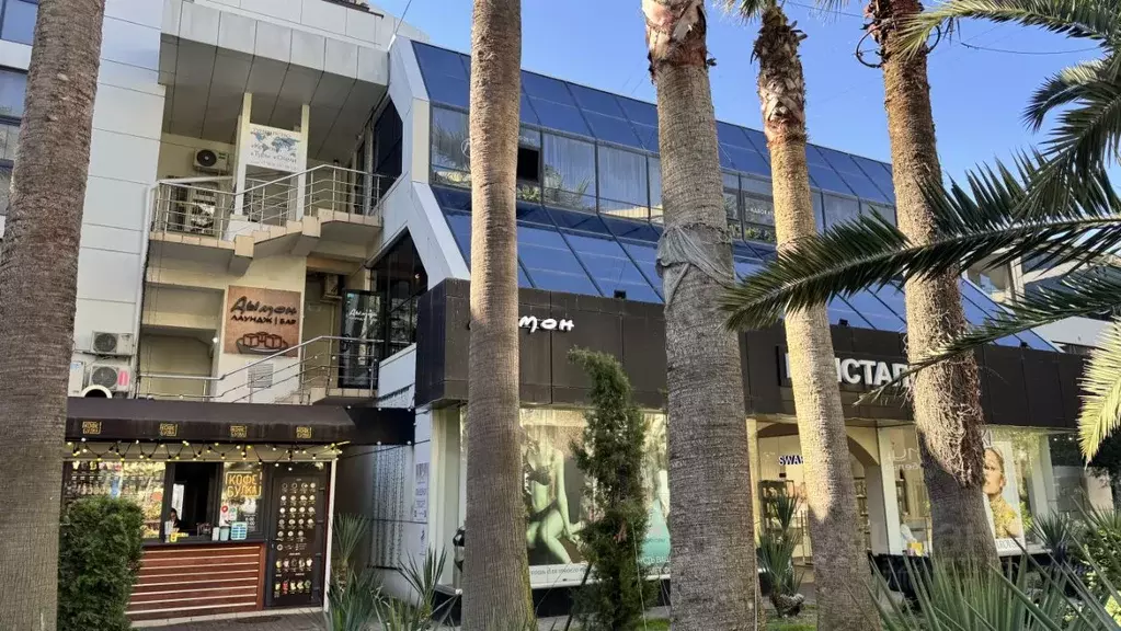 Офис в Краснодарский край, Сочи Центральный мкр, ул. Навагинская, 7/1 ... - Фото 2