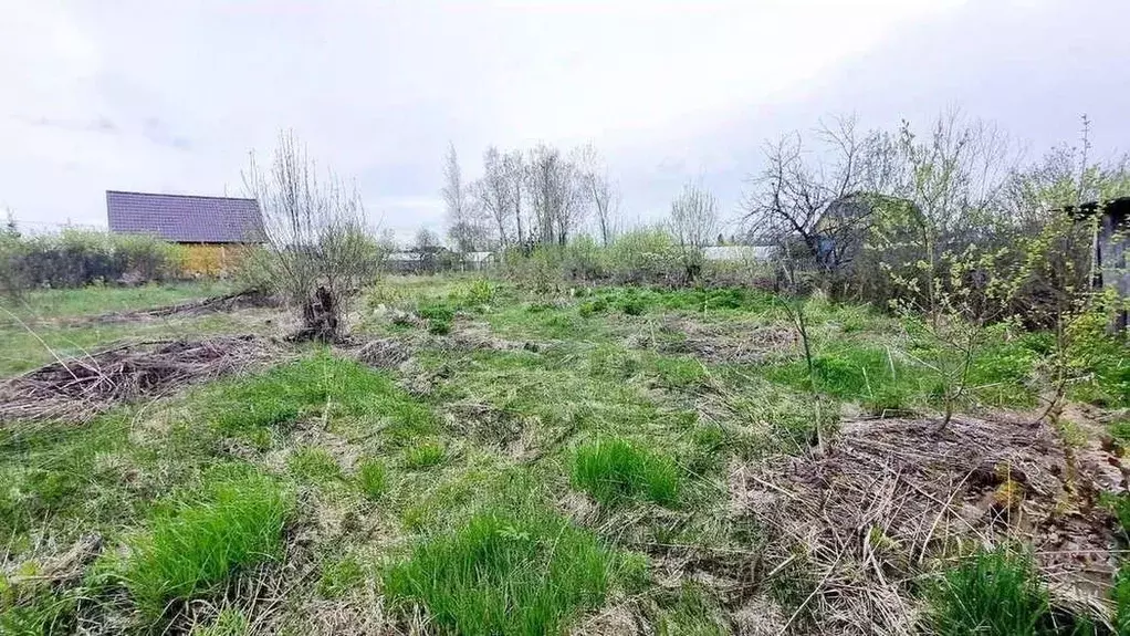 Участок в Новгородская область, Новгородский район, Ермолинское с/пос, ... - Фото 1