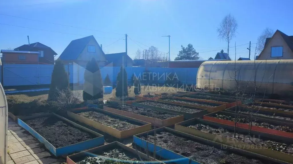 Участок в Тюменская область, Тюмень Строитель-3 СНТ, ул. Солнечная, 79 ... - Фото 1