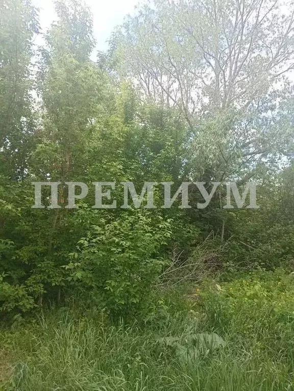 Участок в Самарская область, Кинель городской округ, Усть-Кинельский ... - Фото 0