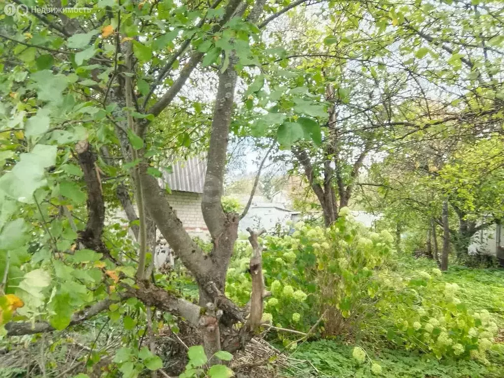 Участок в сельское поселение Большие Козлы, садоводческое ... - Фото 0