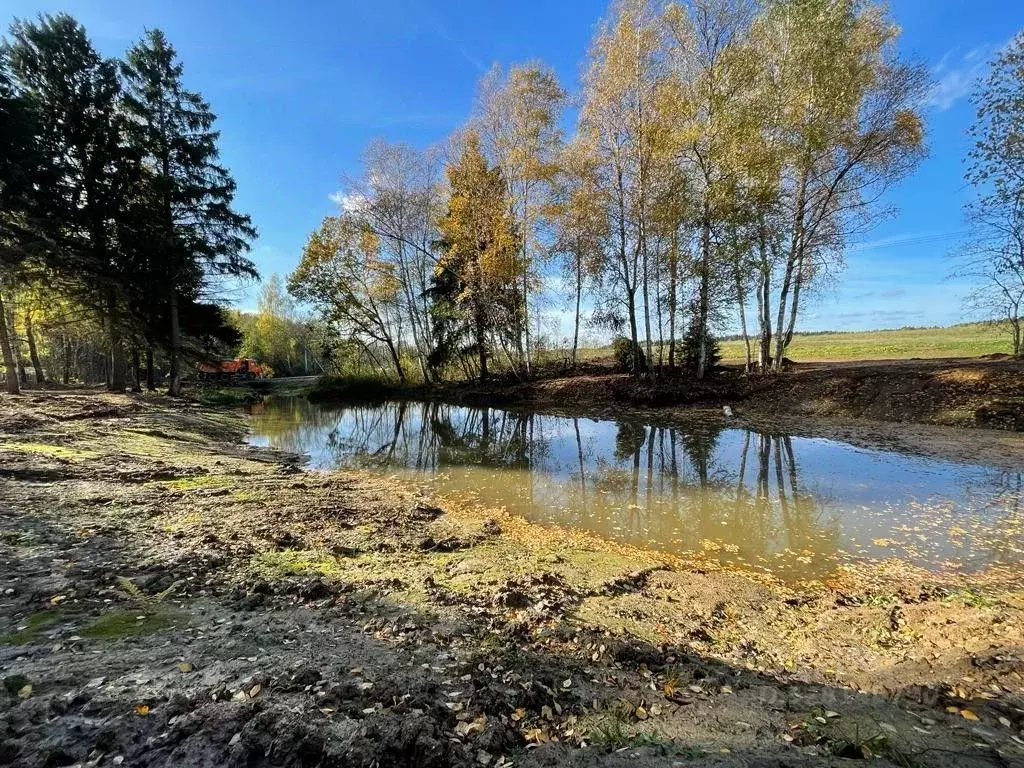 Участок в Московская область, Истра муниципальный округ, д. Подпорино  ... - Фото 1