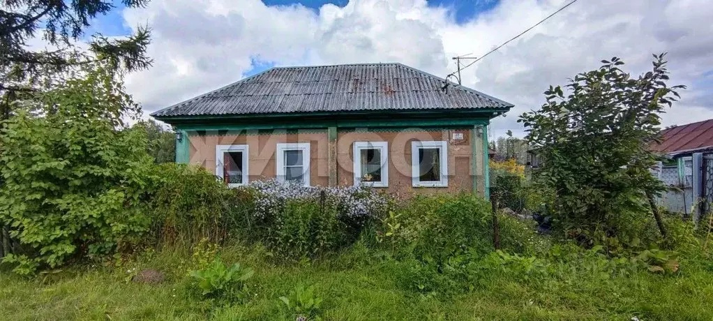 Дом в Новосибирская область, Коченевский район, Лесная Поляна ст. ... - Фото 1