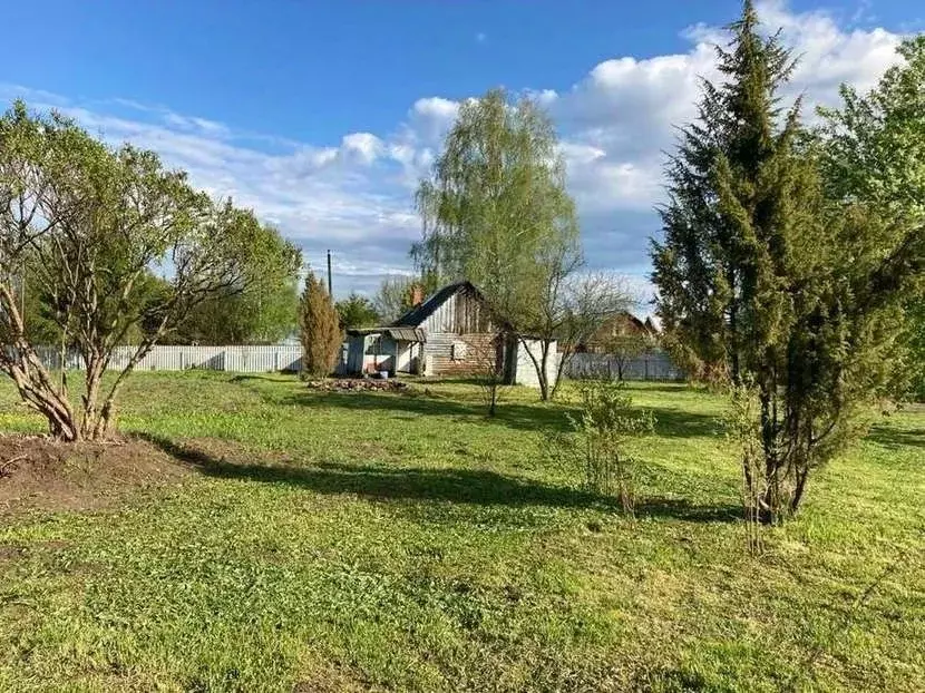 Участок в Рязанская область, Клепиковский район, Болоньское с/пос, д. ... - Фото 1