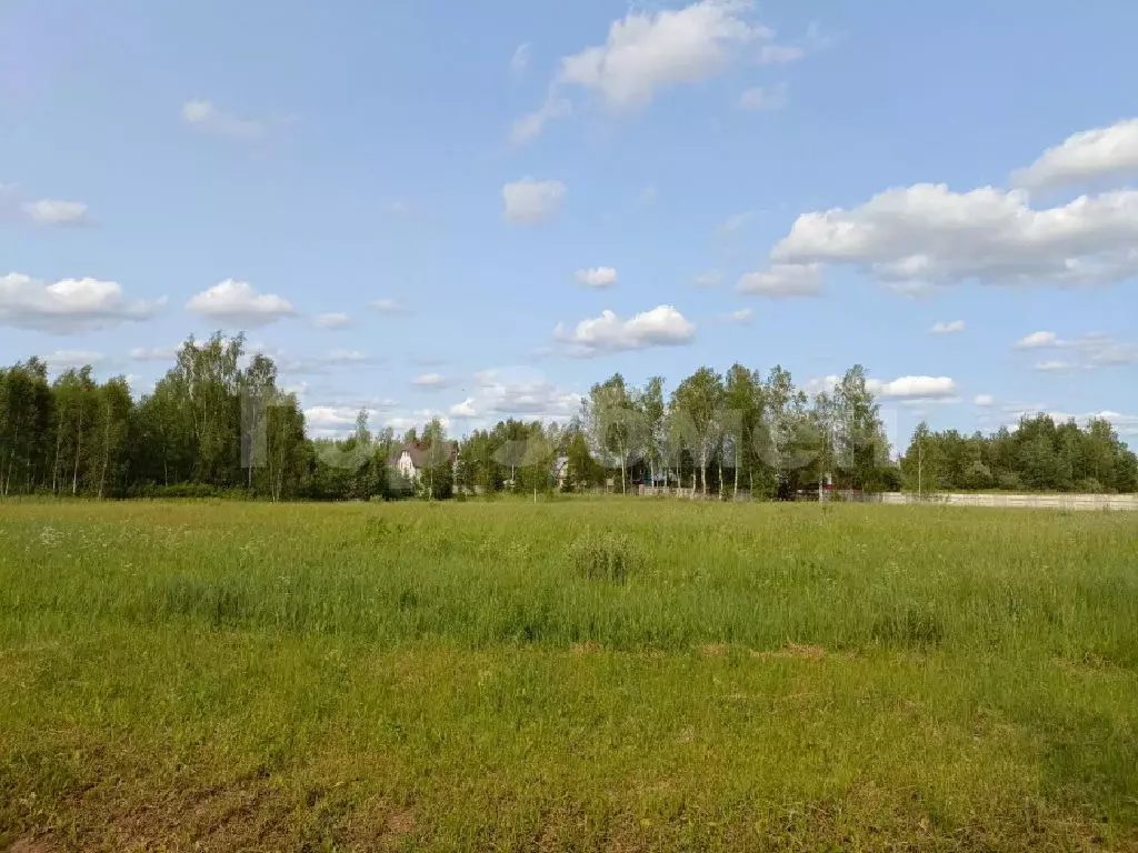 Продается участок в с. Вороново - Фото 1