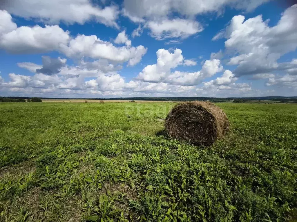 Участок в Красноярский край, Сухобузимский район, с. Шила  (1394.0 ... - Фото 0