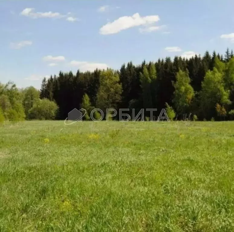 Участок в Тюменская область, Тюменский муниципальный округ, с. ... - Фото 1