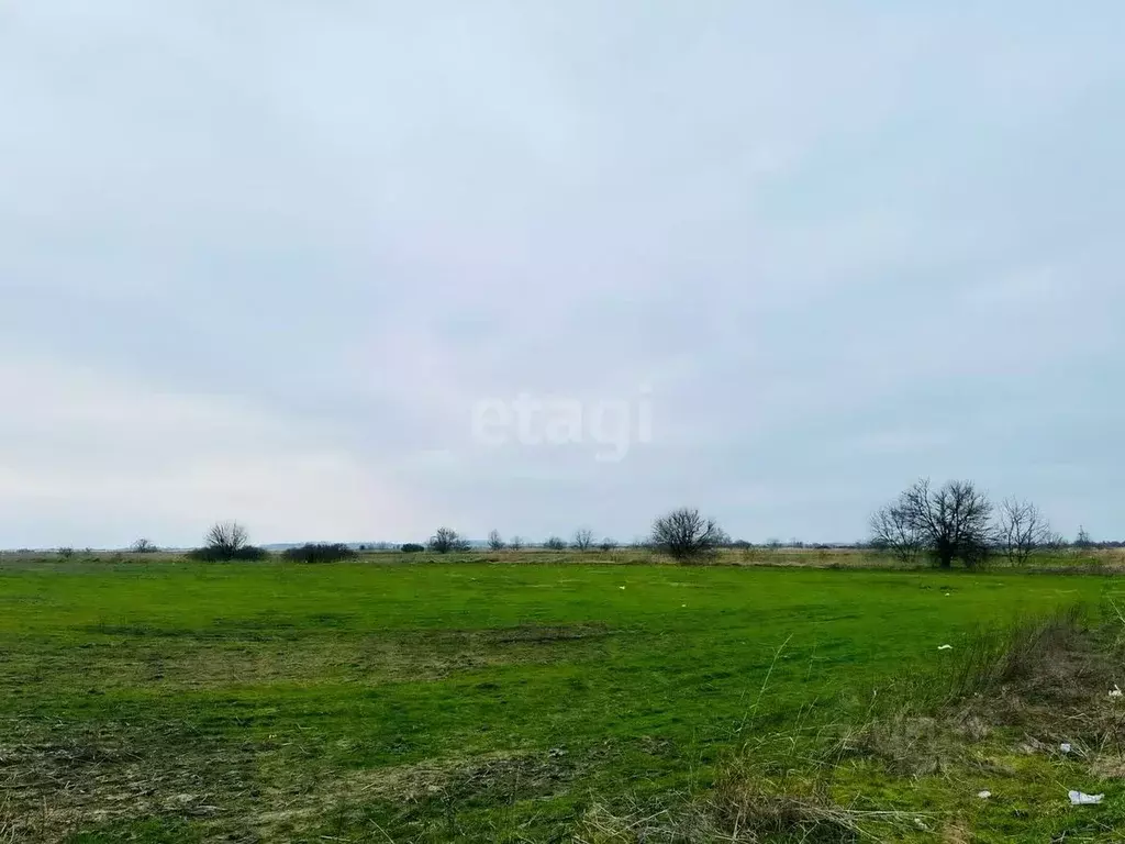 Участок в Краснодарский край, Усть-Лабинский район, Некрасовское ... - Фото 0