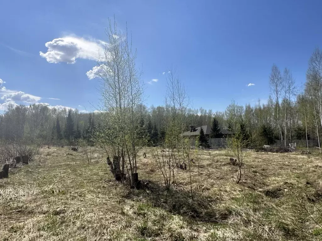 Участок в Нижегородская область, Кстово Медик ТИЗ,  (5.0 сот.) - Фото 2