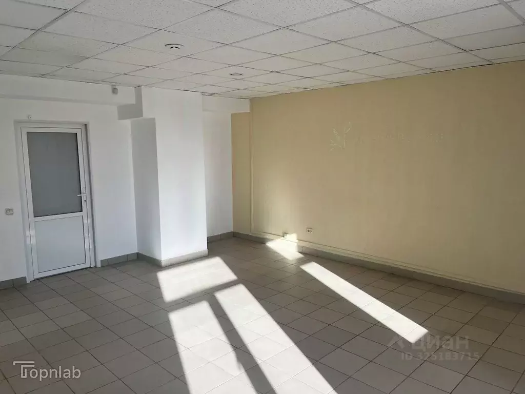 Офис в Алтайский край, Барнаул ул. Льва Толстого, 16/19А (30 м) - Фото 2