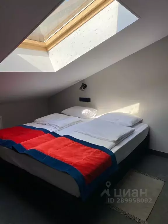 Комната Санкт-Петербург ул. Кибальчича, 4К3 (22.0 м) - Фото 1