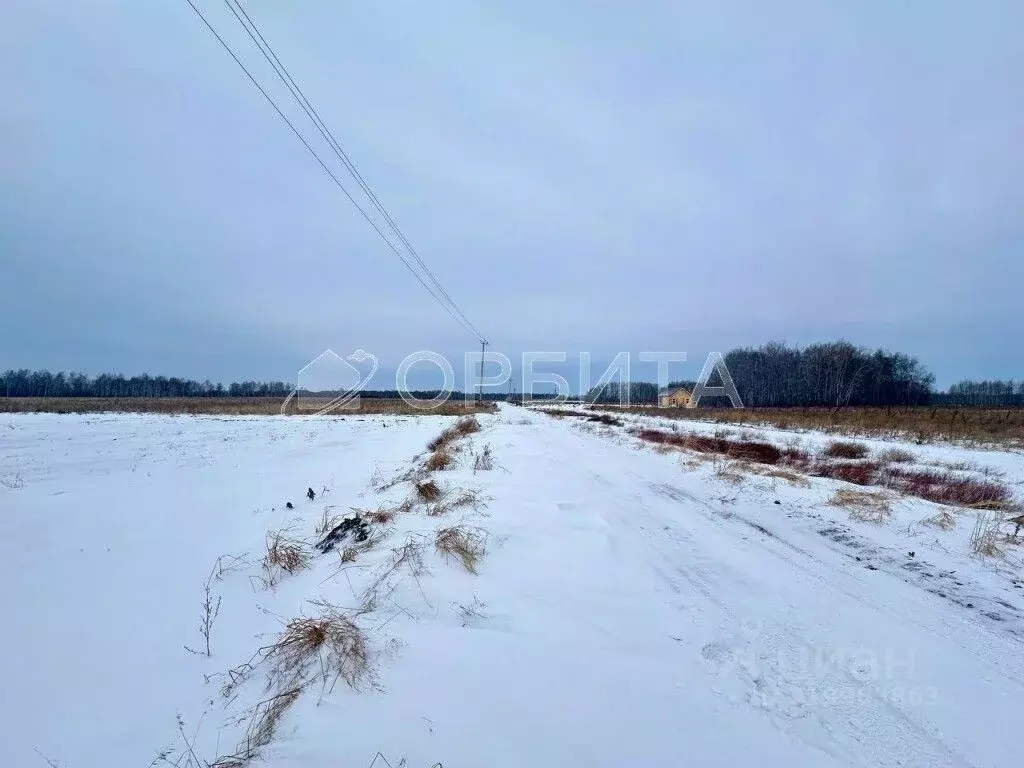 Участок в Тюменская область, Нижнетавдинский район, Сочинские СНТ 7-я ... - Фото 0