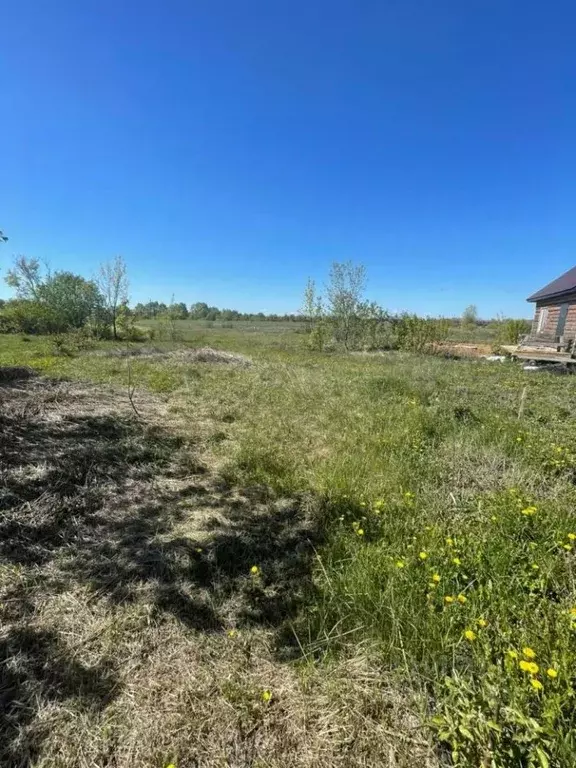 Участок в Татарстан, Лаишевский район, Нармонское с/пос, с. Караишево ... - Фото 0