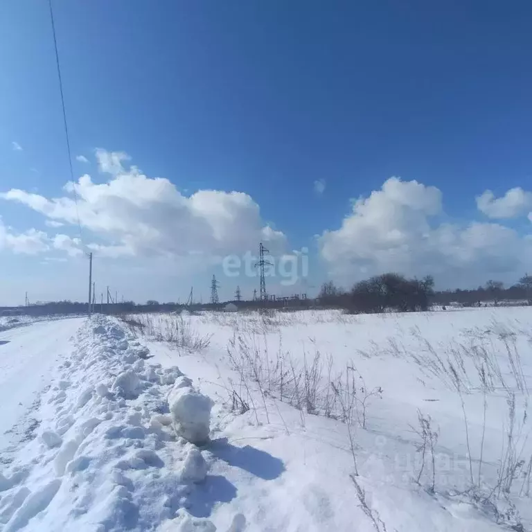 Участок в Сахалинская область, Анивский городской округ, с. Мицулевка  ... - Фото 0
