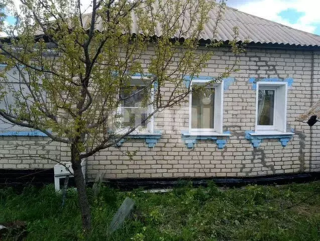 Дом в Белгородская область, Алексеевский муниципальный округ, хутор ... - Фото 0