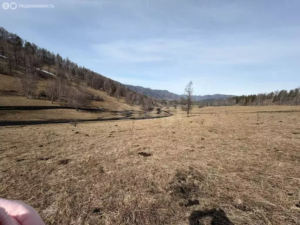 Участок в Чемальский район, село Чемал (250 м) - Фото 1