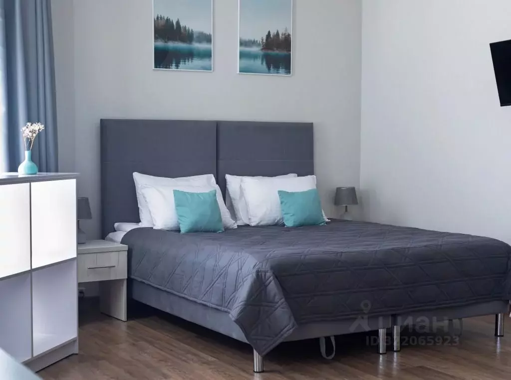 1-к кв. Карелия, Петрозаводск проезд 3-й Радужный, 12 (29.0 м) - Фото 1