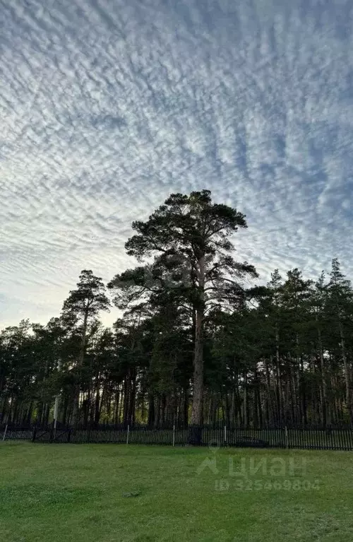 Помещение свободного назначения в Алтайский край, Каменский район, с. ... - Фото 1