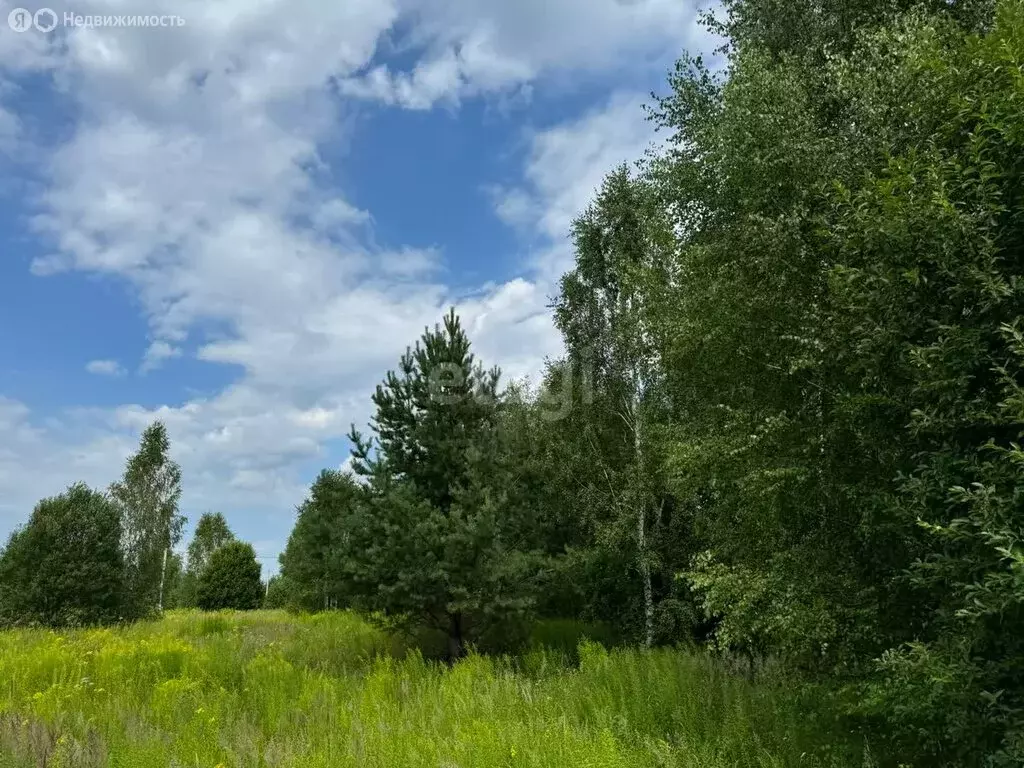 Участок в Нижегородская область, Городецкий муниципальный округ, ... - Фото 1