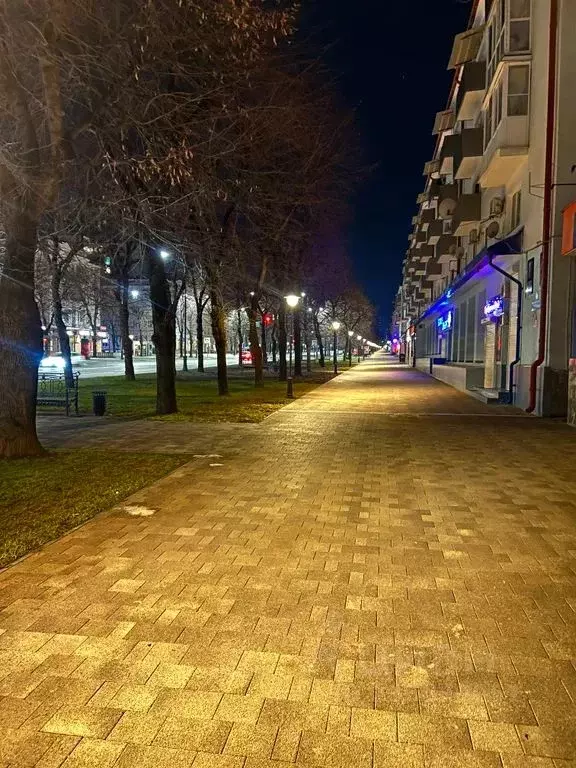 2-к кв. Кабардино-Балкария, Нальчик просп. Ленина, 43 (50.0 м) - Фото 2