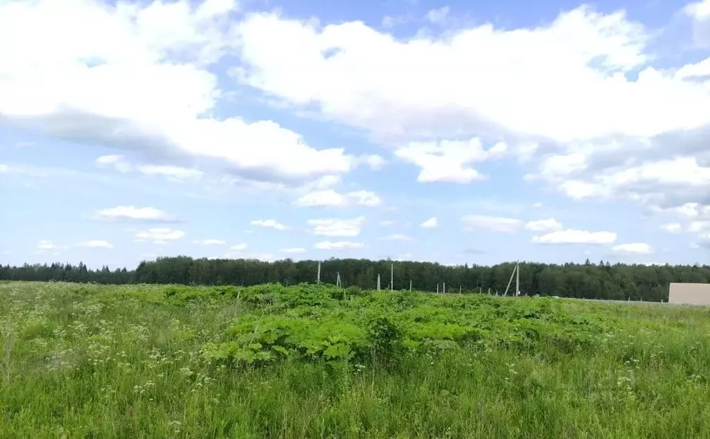 Участок в Московская область, Дмитровский муниципальный округ, ... - Фото 0