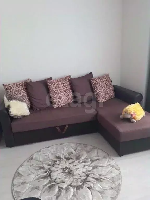 Студия Алтай, Майминский район, с. Майма ул. Ленина (21.6 м) - Фото 1