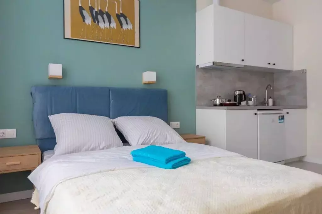 Студия Москва Внуковское поселение, ул. Летчика Грицевца, 14А (16.0 м) - Фото 2