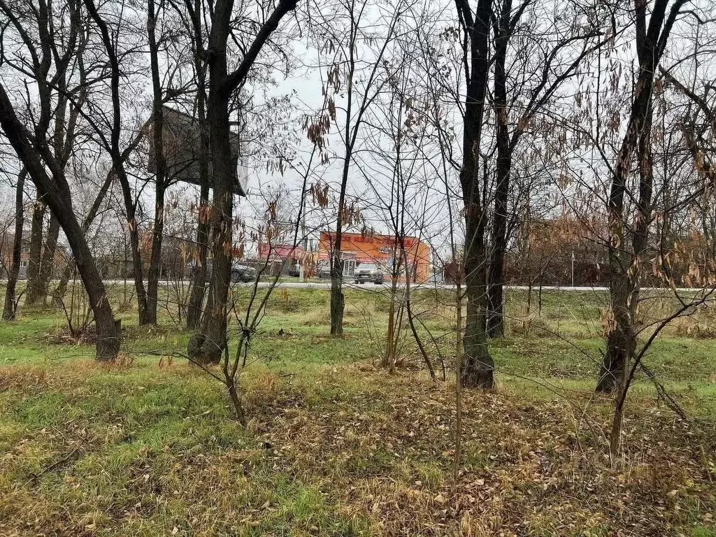 Участок в Ростовская область, Аксайский район, Большой Лог хут. ... - Фото 1